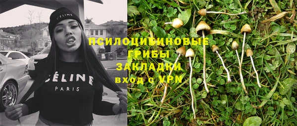 прущие грибы Алексин