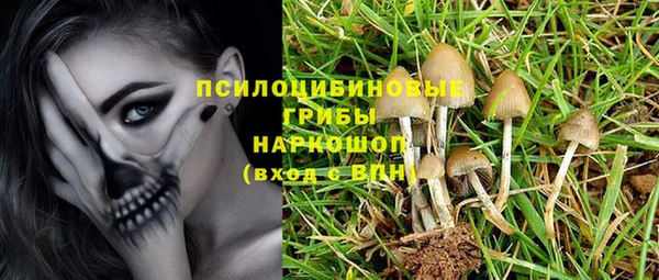 прущие крисы Алзамай