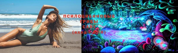 прущие крисы Алзамай