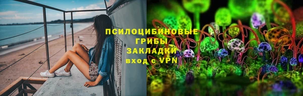 прущие грибы Алексин