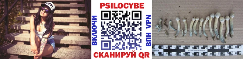 Галлюциногенные грибы Cubensis  хочу   Жуковка 